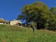 09 Il grande faggio alla Cascina Mattuida (1470 m)